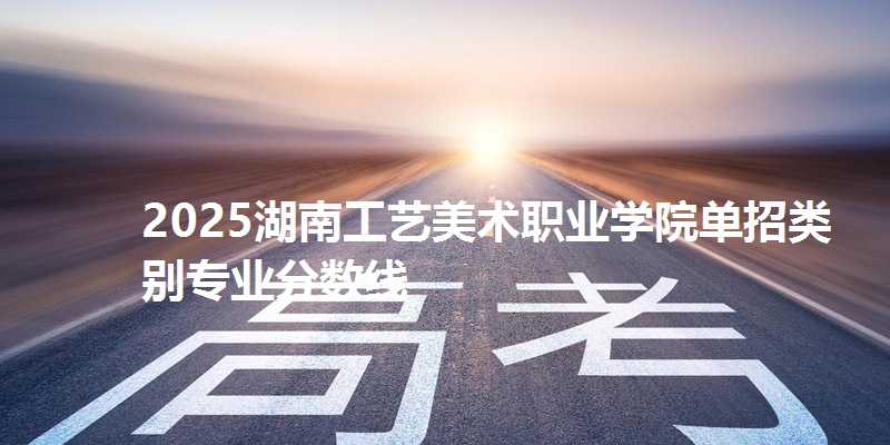 2025湖南工艺美术职业学院单招类别专业分数线
