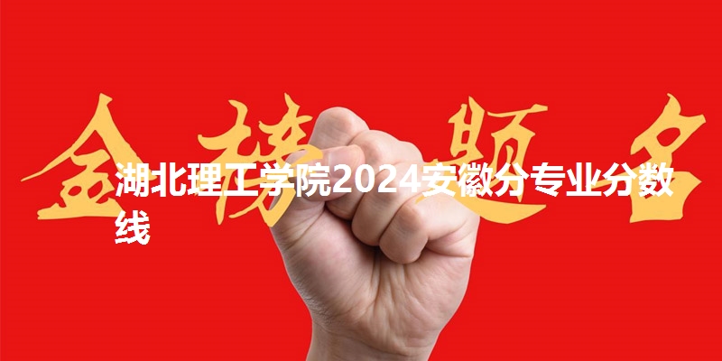湖北理工学院2024安徽分专业分数线