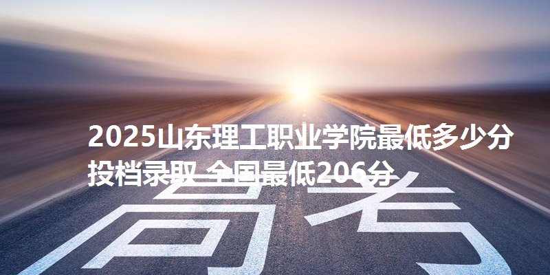 2025山东理工职业学院最低多少分投档录取 全国最低206分