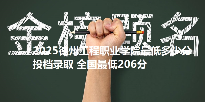 2025德州工程职业学院最低多少分投档录取 全国最低206分