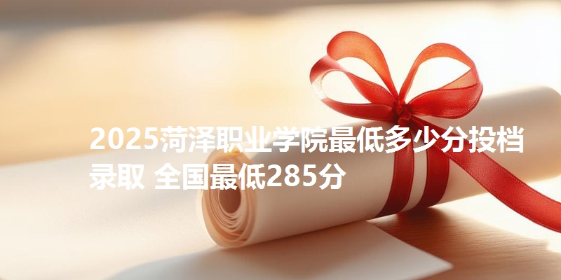 2025菏泽职业学院最低多少分投档录取 全国最低285分