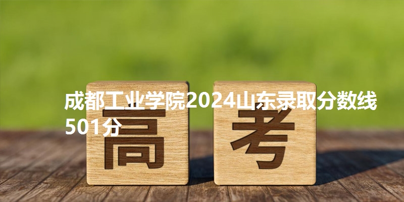 成都工业学院2024山东录取分数线501分
