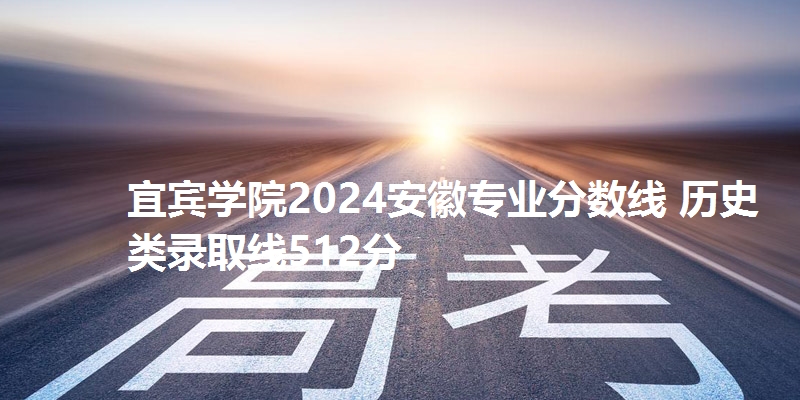 宜宾学院2024安徽专业分数线 物理类录取线512分