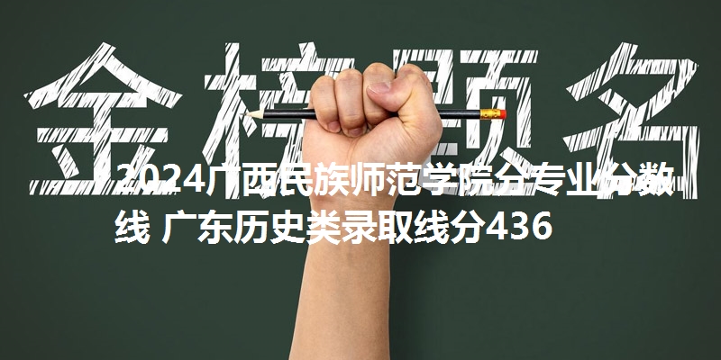 2024广西民族师范学院分专业分数线 广东历史类录取线分436