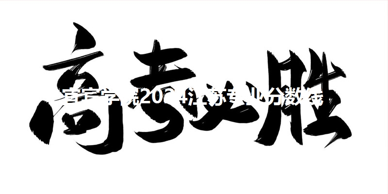 宜宾学院2024江苏专业分数线