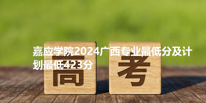 嘉应学院2024广西专业最低分及计划最低423分