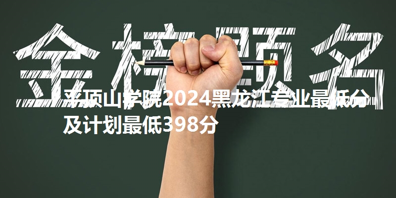 平顶山学院2024黑龙江专业最低分及计划最低398分