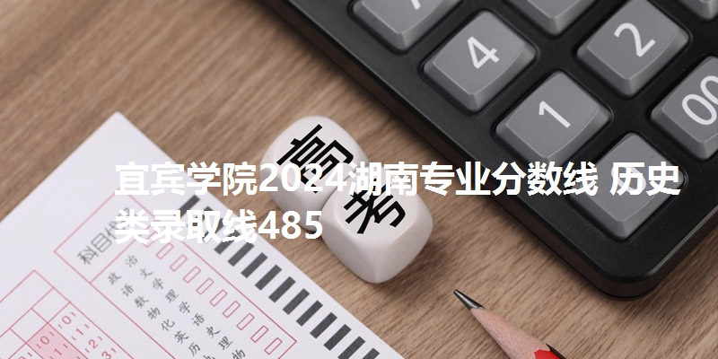 宜宾学院2024湖南专业分数线 物理类录取线485