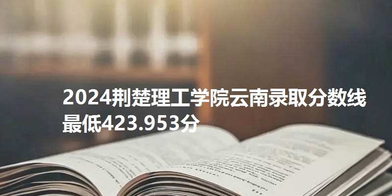 2024荆楚理工学院云南录取分数线最低423.953分
