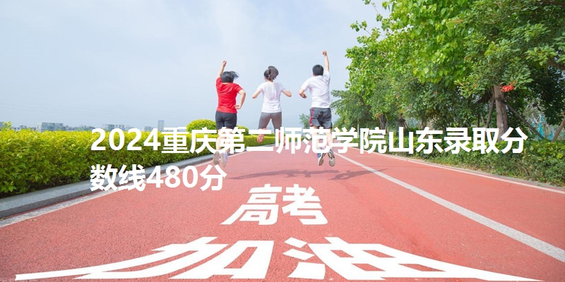 2024重庆第二师范学院山东录取分数线480分