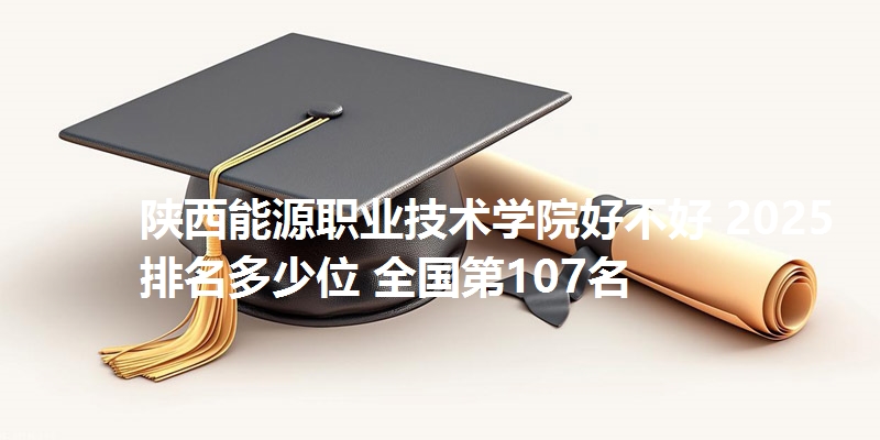 陕西能源职业技术学院好不好 2025排名多少位 全国第107名