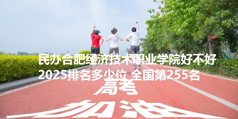 民办合肥经济技术职业学院好不好 2025排名多少位 全国第255名