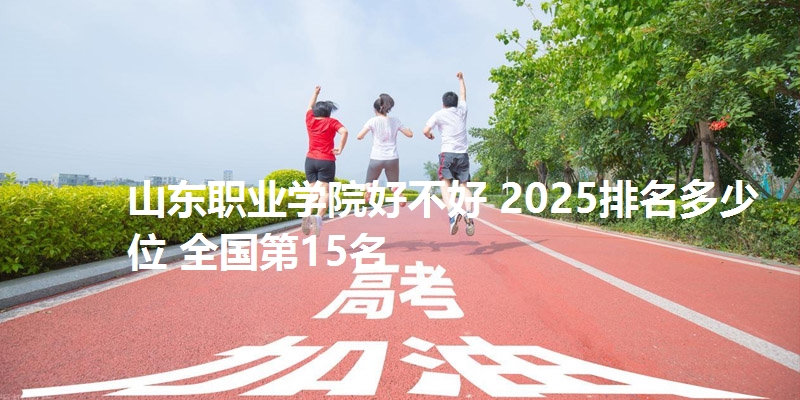 山东职业学院好不好 2025排名多少位 全国第15名