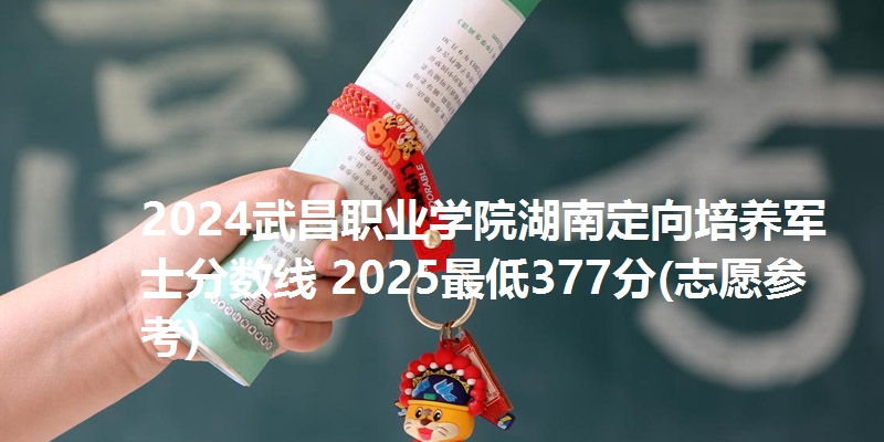 2024武昌职业学院湖南定向培养军士分数线 2025最低377分(志愿参考)