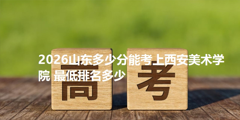 2026山东多少分能考上西安美术学院 最低排名多少