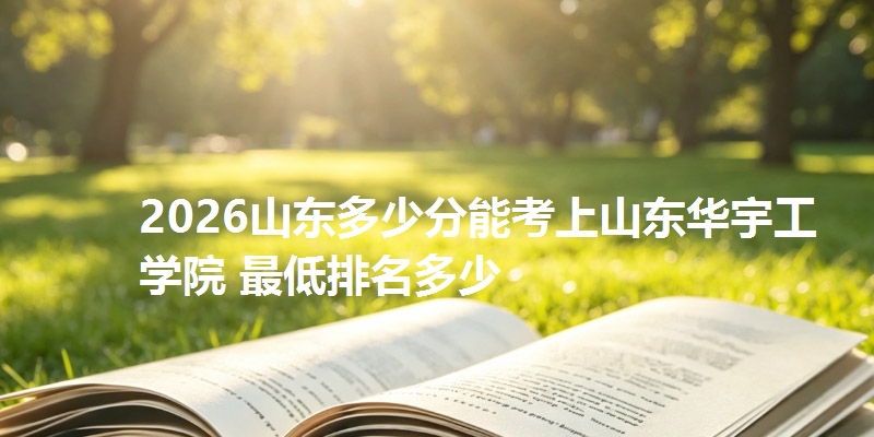 2026山东多少分能考上山东华宇工学院 最低排名多少