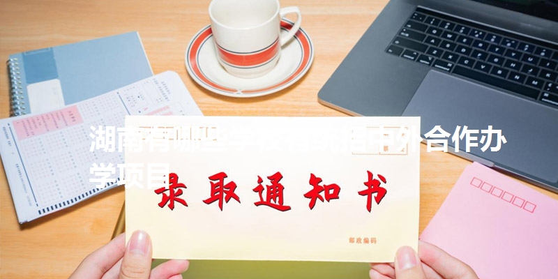 湖南有哪些学校有统招中外合作办学项目