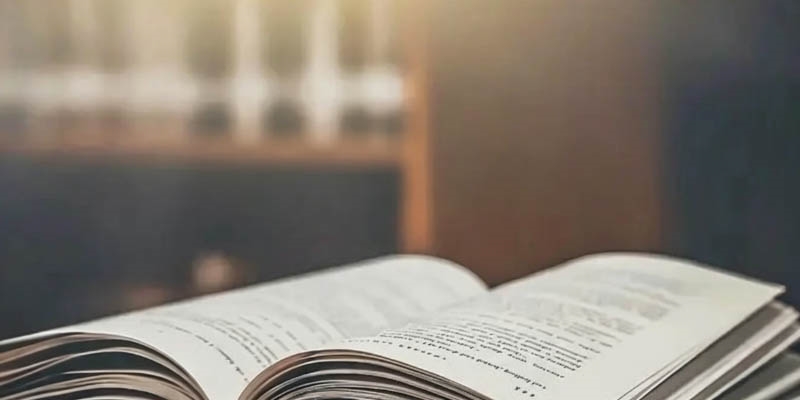 2024湖南女子学院广东艺术类分数线最低多少？最低448分
