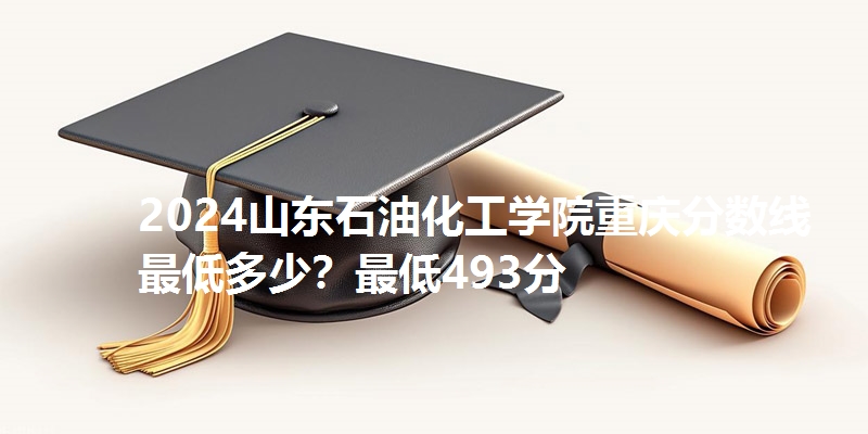 2024山东石油化工学院重庆分数线最低多少？最低493分