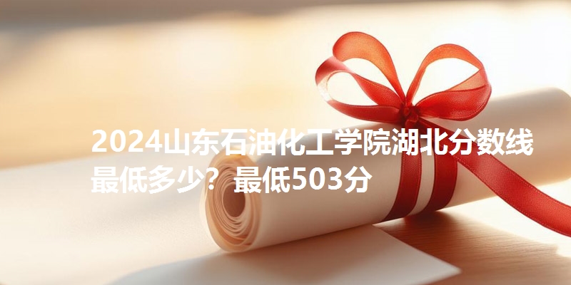 2024山东石油化工学院湖北分数线最低多少?最低503分
