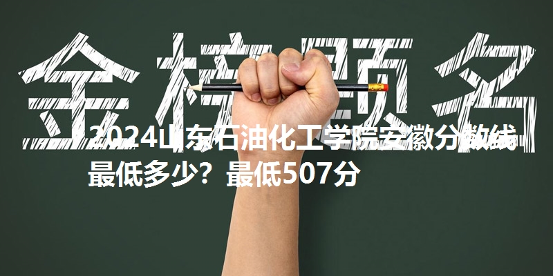 2024山东石油化工学院安徽分数线最低多少？最低507分