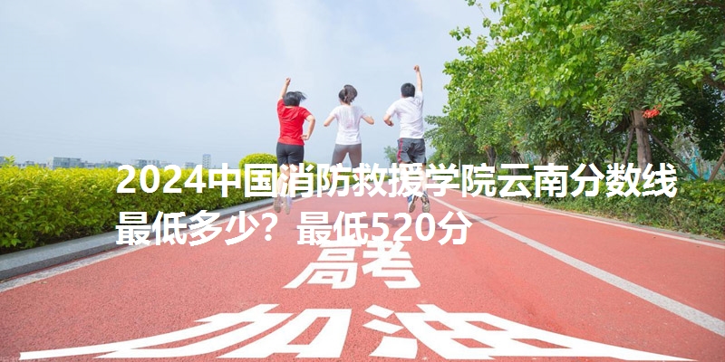2024中国消防救援学院云南分数线最低多少?最低520分