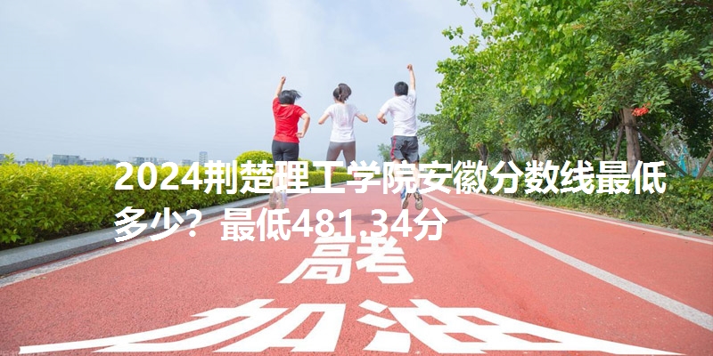2024荆楚理工学院安徽分数线最低多少？最低481.34分