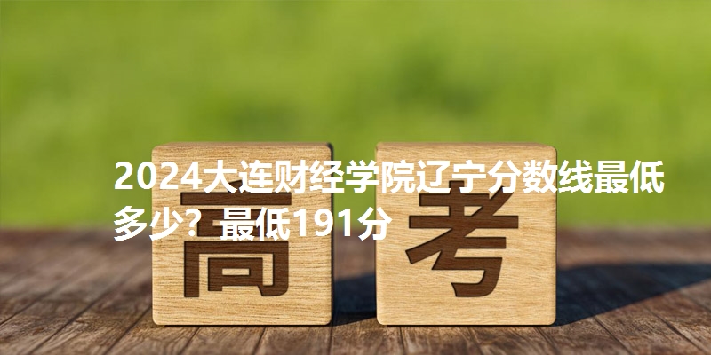 2024大连财经学院辽宁分数线最低多少?最低191分