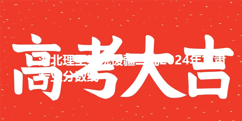 湖北理工学院援疆二批2024年甘肃专业分数线