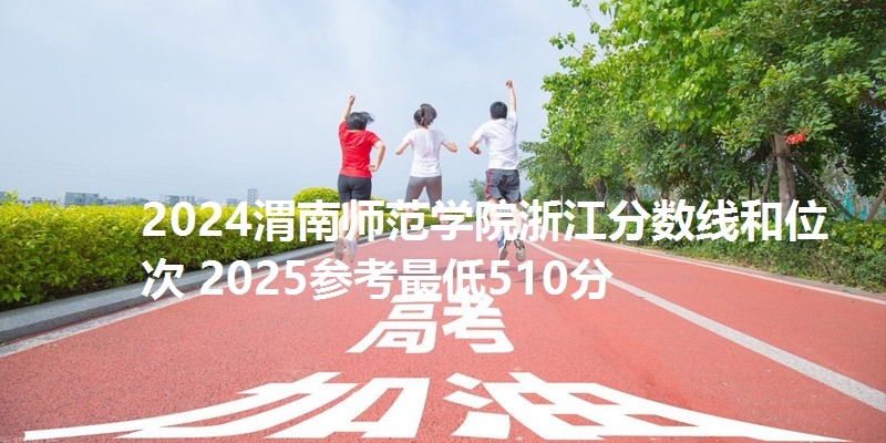 2024渭南师范学院浙江分数线和位次 2025参考最低510分