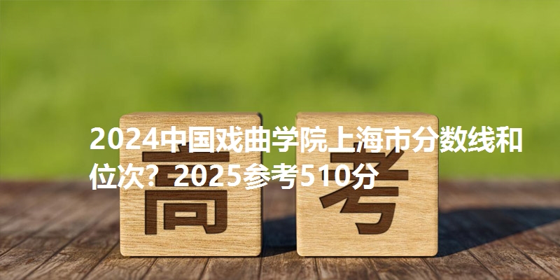 2024中国戏曲学院上海市分数线和位次?2025参考510分