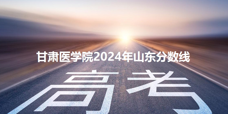 甘肃医学院2024年山东分数线