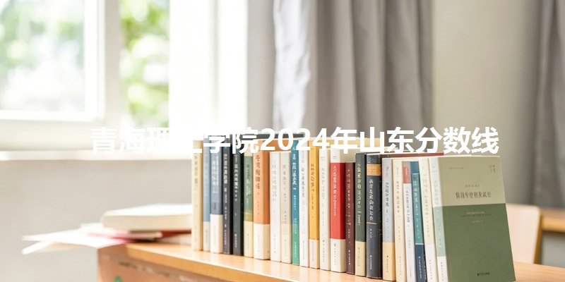 青海理工学院2024年山东分数线