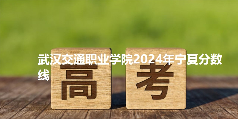 武汉交通职业学院2024年宁夏分数线