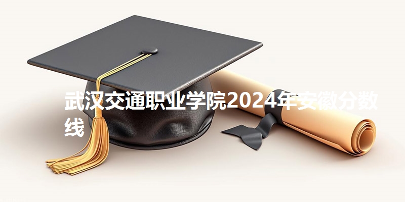 武汉交通职业学院2024年安徽省分数线