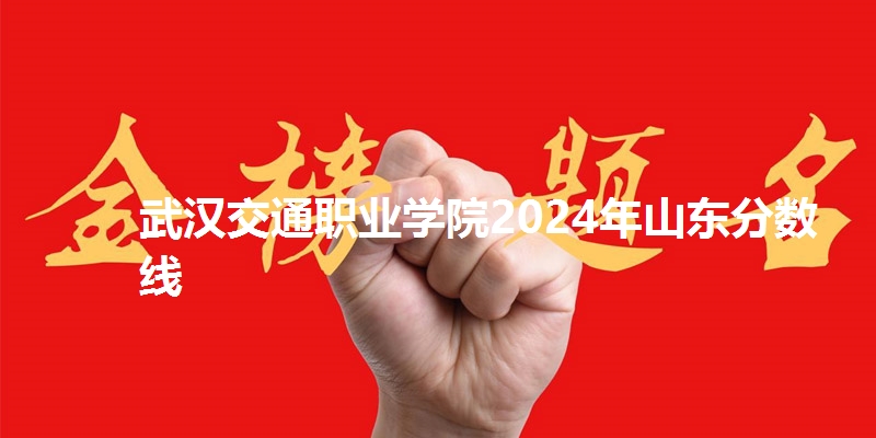 武汉交通职业学院2024年山东省分数线