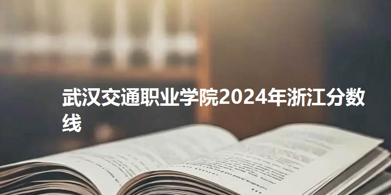 武汉交通职业学院2024年浙江省分数线