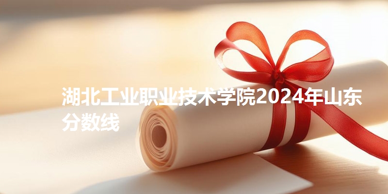 湖北工业职业技术学院2024年山东省分数线