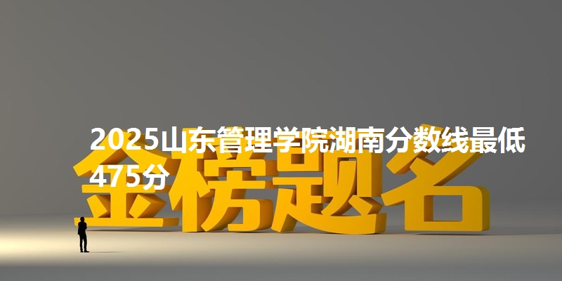 2025山东管理学院湖南分数线最低475分