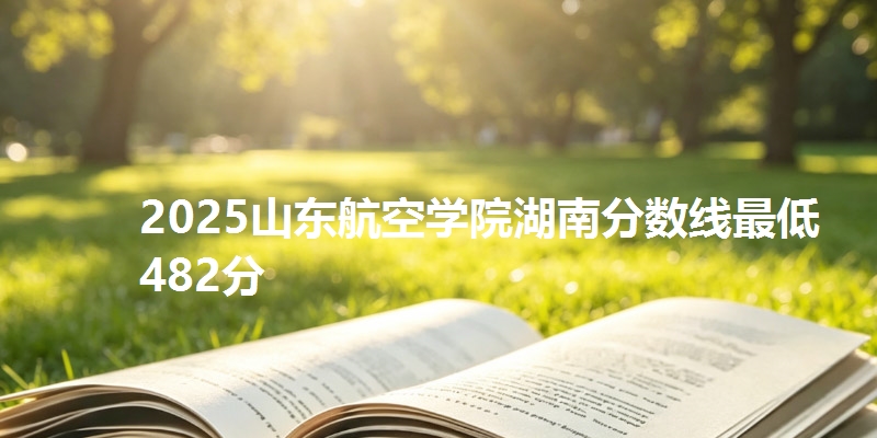 2025山东航空学院湖南分数线最低482分