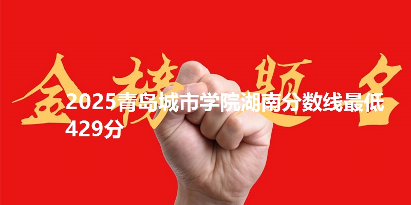 2025青岛城市学院湖南分数线最低429分