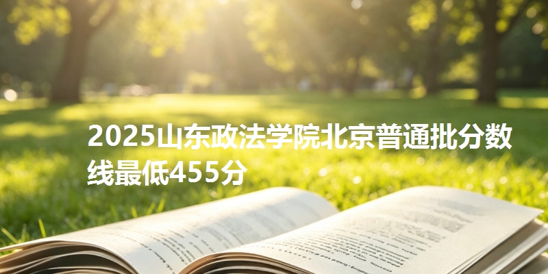 2025山东政法学院北京普通批分数线最低455分