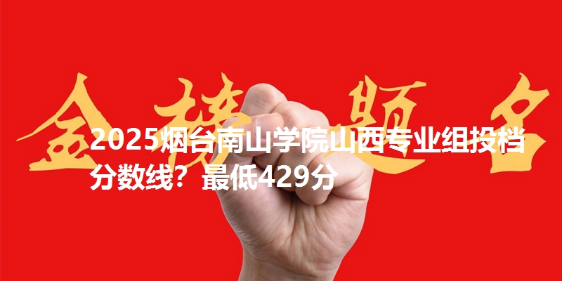 2025烟台南山学院山西专业组投档分数线?最低429分