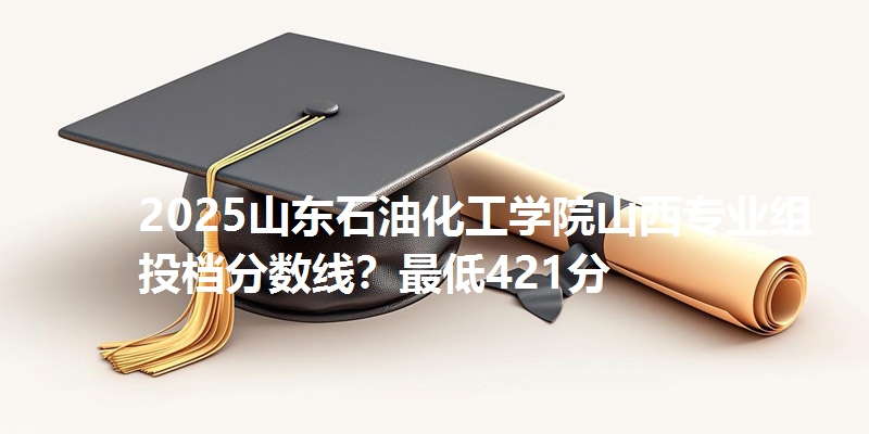 2025山东石油化工学院山西专业组投档分数线?最低421分
