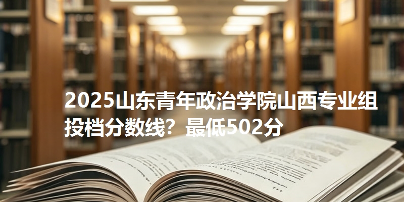 2025山东青年政治学院山西专业组投档分数线?最低502分