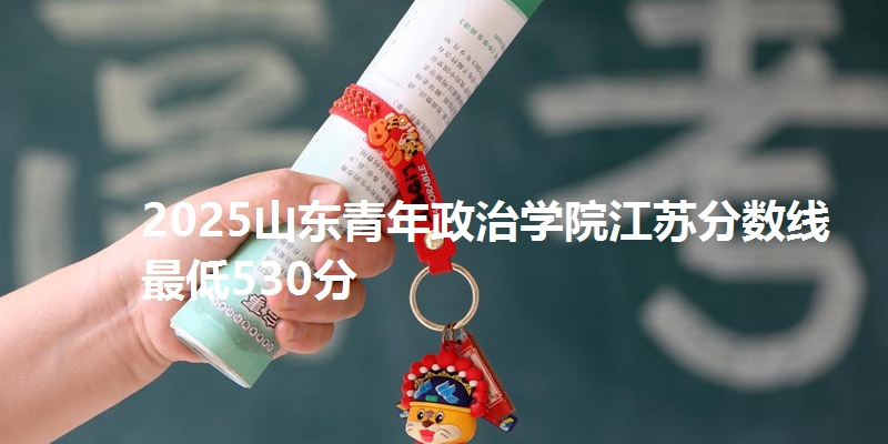 2025山东青年政治学院江苏分数线最低530分