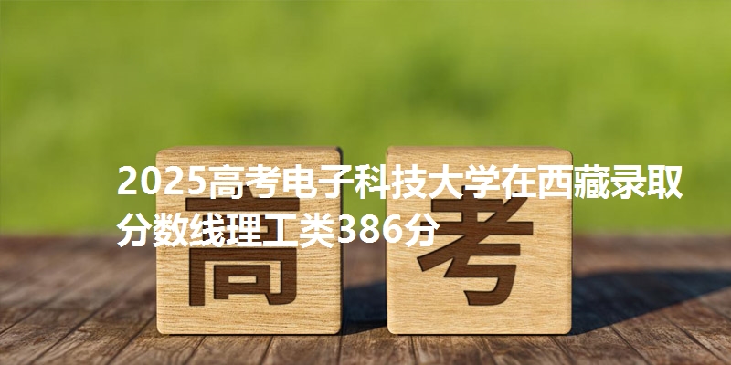 2025高考电子科技大学在西藏录取分数线理工类386分