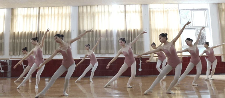 漯河职院舞蹈类专业