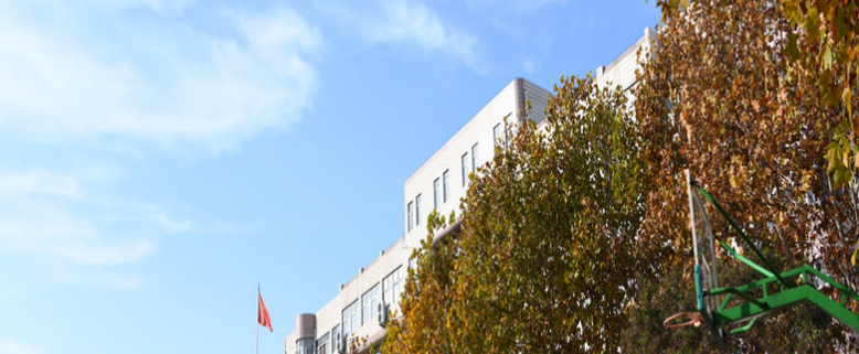 2025河南信息统计职业学院单招分数线(2024-2025历年)