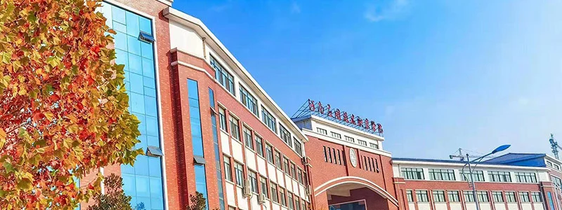 河南应用技术职业学院2025对口招生分数线：最低238分